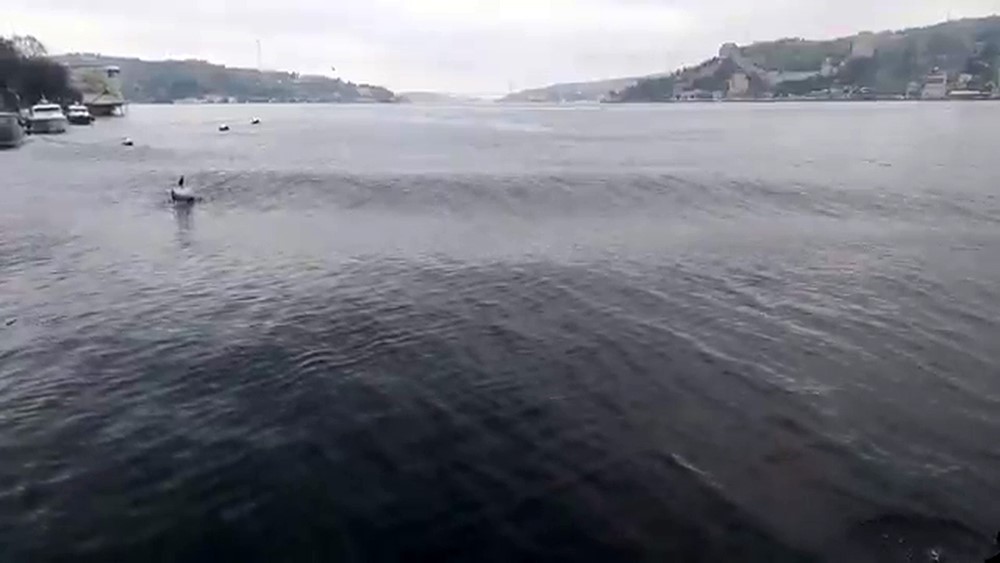 DEPREM ESNASINDA İSTANBUL BOĞAZI’NDA OLUŞAN DALGALAR GÖRÜNTÜLENDİ