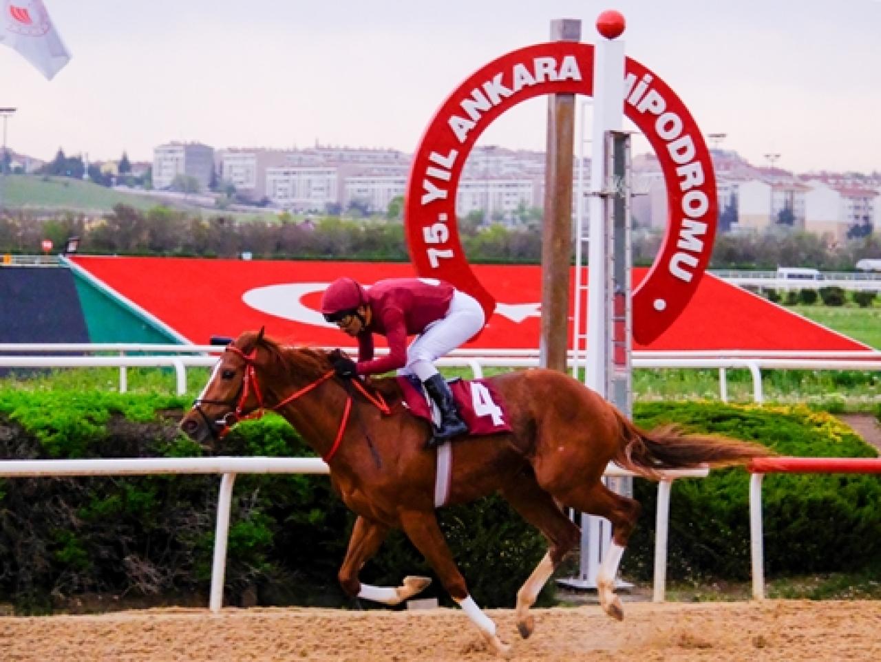 Çevre Şehircilik ve İklim Değişikliği Bakanlığı Koşusu’nda kazanan Gök Berk oldu
