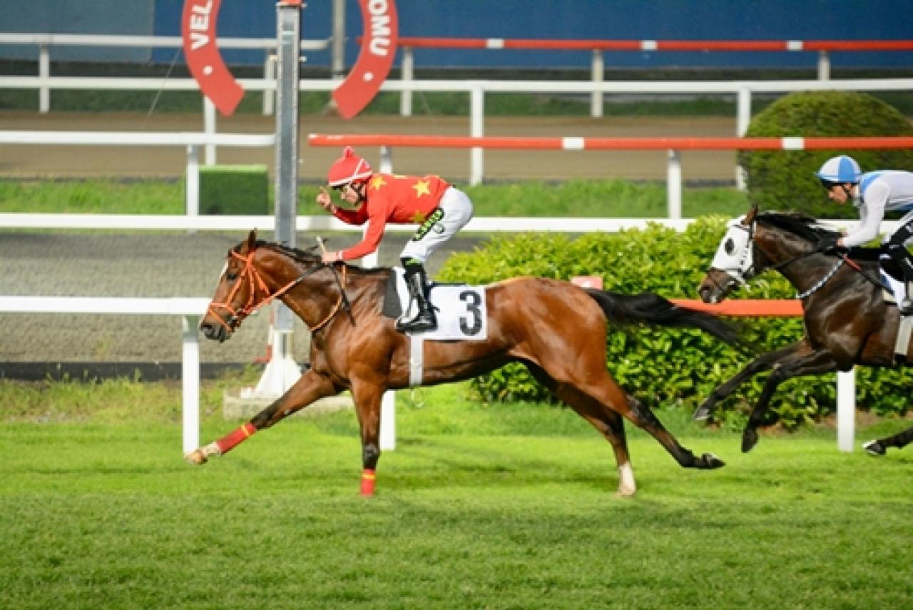 İstanbul Büyükşehir Belediye Başkanlığı Koşusu'nda galibiyete Dragon Flame uzandı