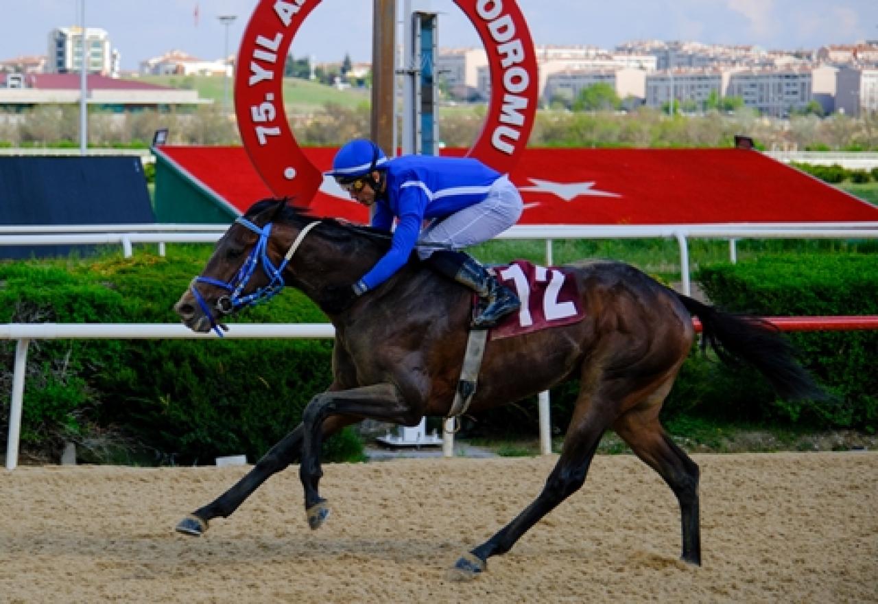 Dünya Veteriner Hekimler Günü Koşusu’nu Treasure Island kazandı