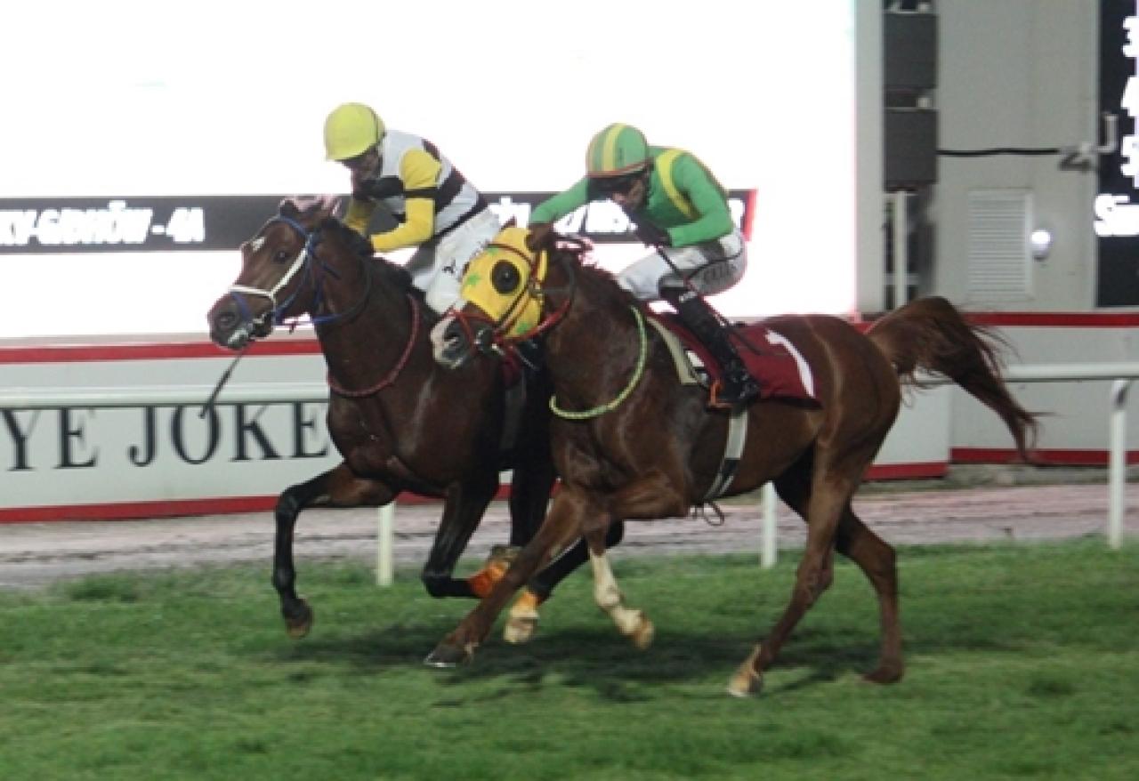 İsmet Atlı Koşusu'nda birinciliğe Büyük Yürekli uzandı