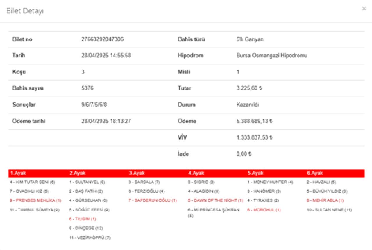Bursa'da 2. 6'lı Ganyan'ı 2 kişi bildi