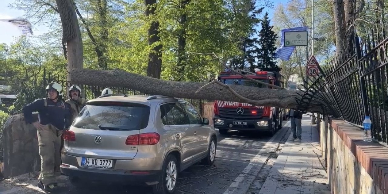 SARIYER’DE ŞİDDETLİ RÜZGARDA AĞAÇ OTOMOBİLİN ÜZERİNE DEVRİLDİ