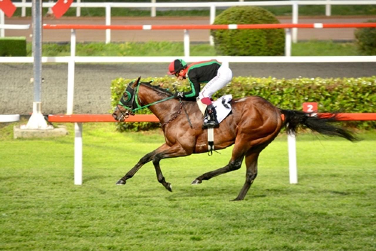 Cihangir Koşusu'nu Deo Volente kazandı