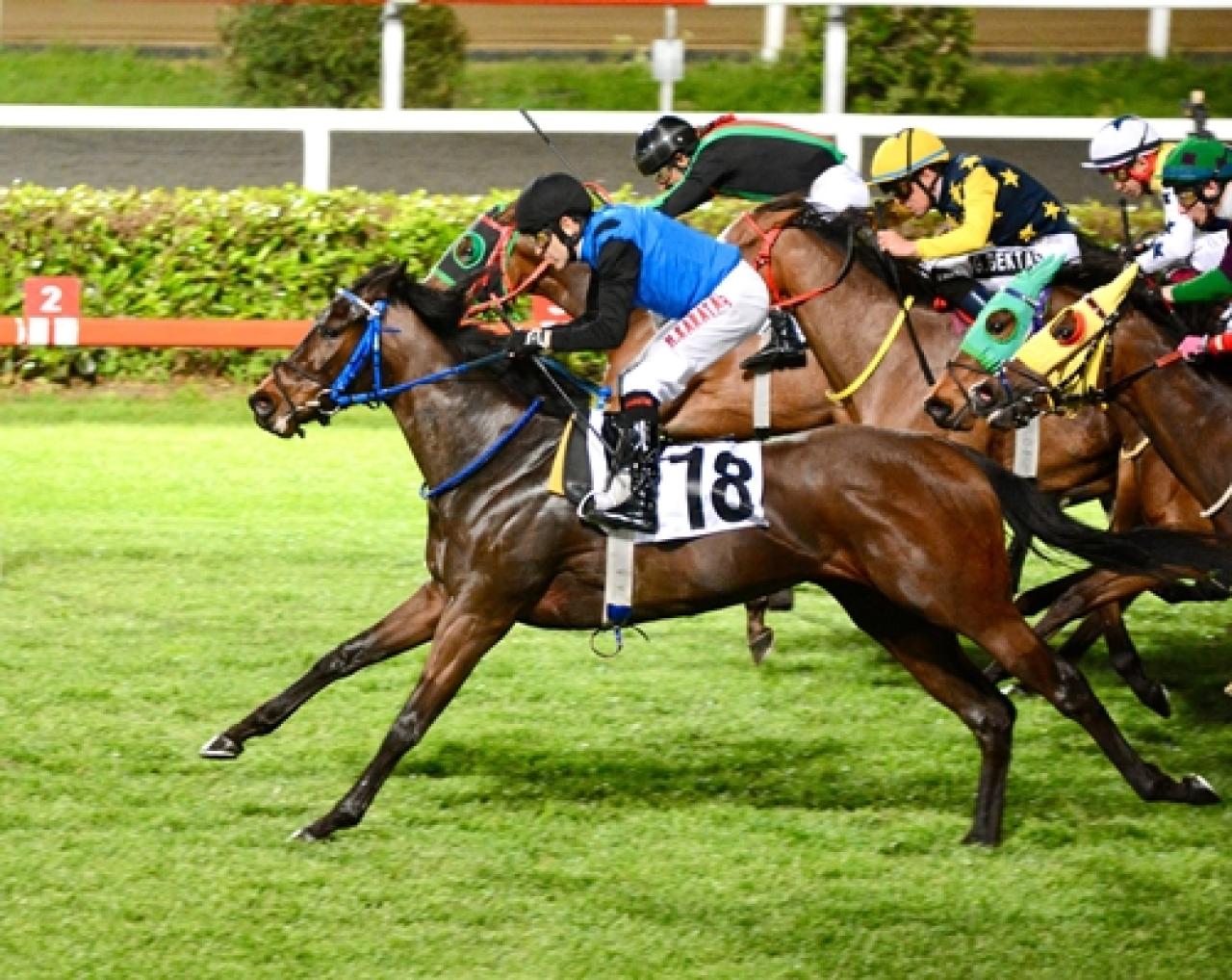 Nadas Koşusu'nun kazananı Taurus oldu