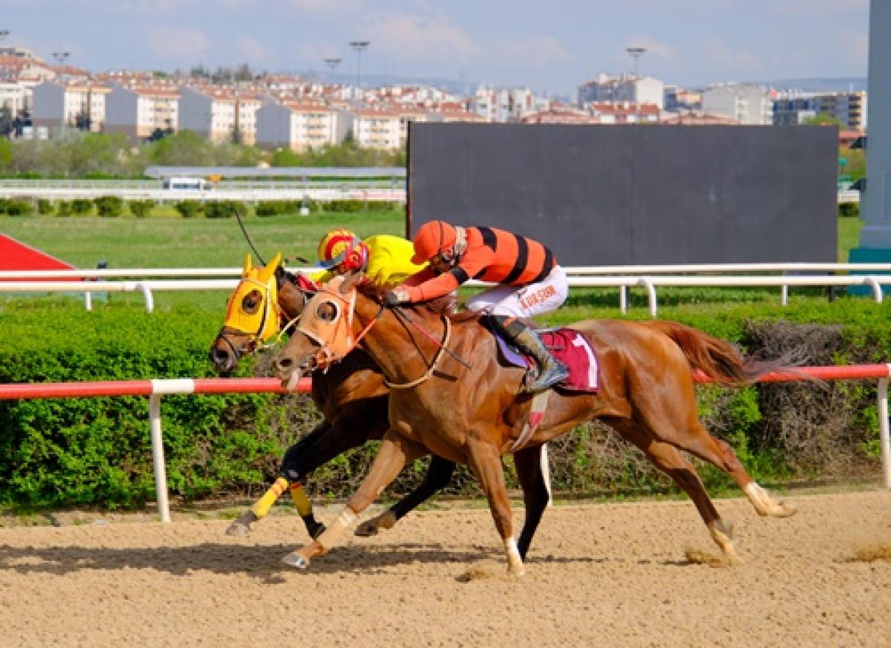 AB Başkanlığı Avrupa Günü Koşusu’nu Smart Children kazandı