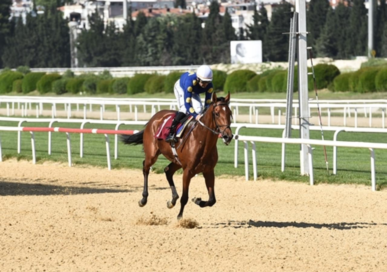 Uluslararası Kadın Konseyi Koşusu’nu Drowzee kazandı