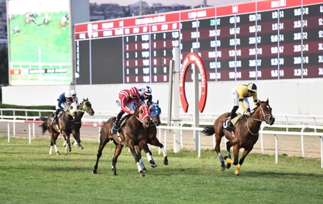 Kemalettin Ezgi Koşusu'nda galibiyete Harlan Draka ulaştı