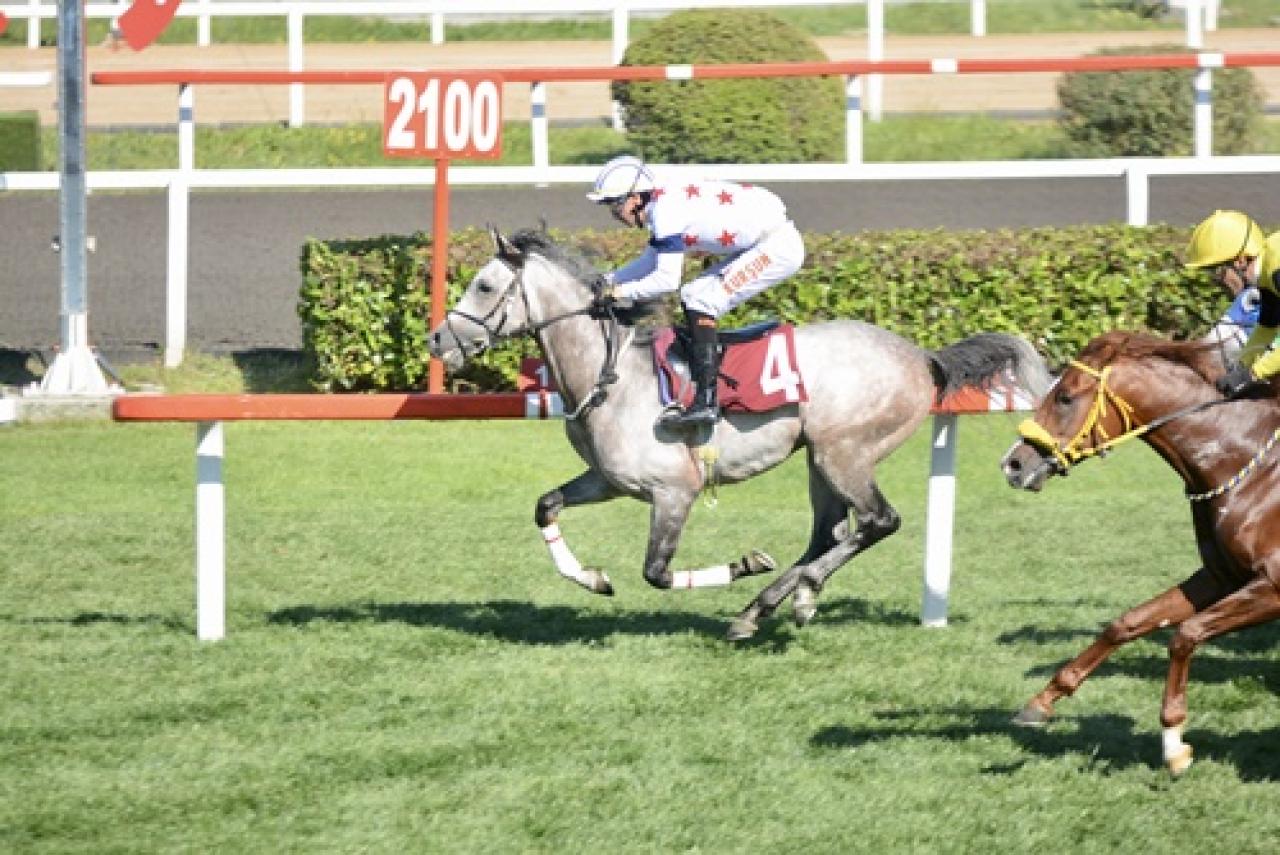 M. Kemal Atakul Koşusu’nu Fuat Aga kazandı