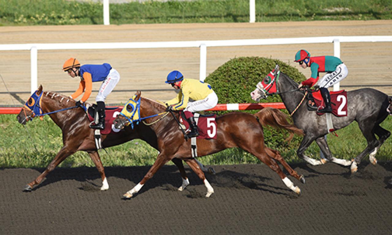 Avrasya Ekonomi Zirveleri Koşusu’nda galibiyete Ağa Talip ulaştı