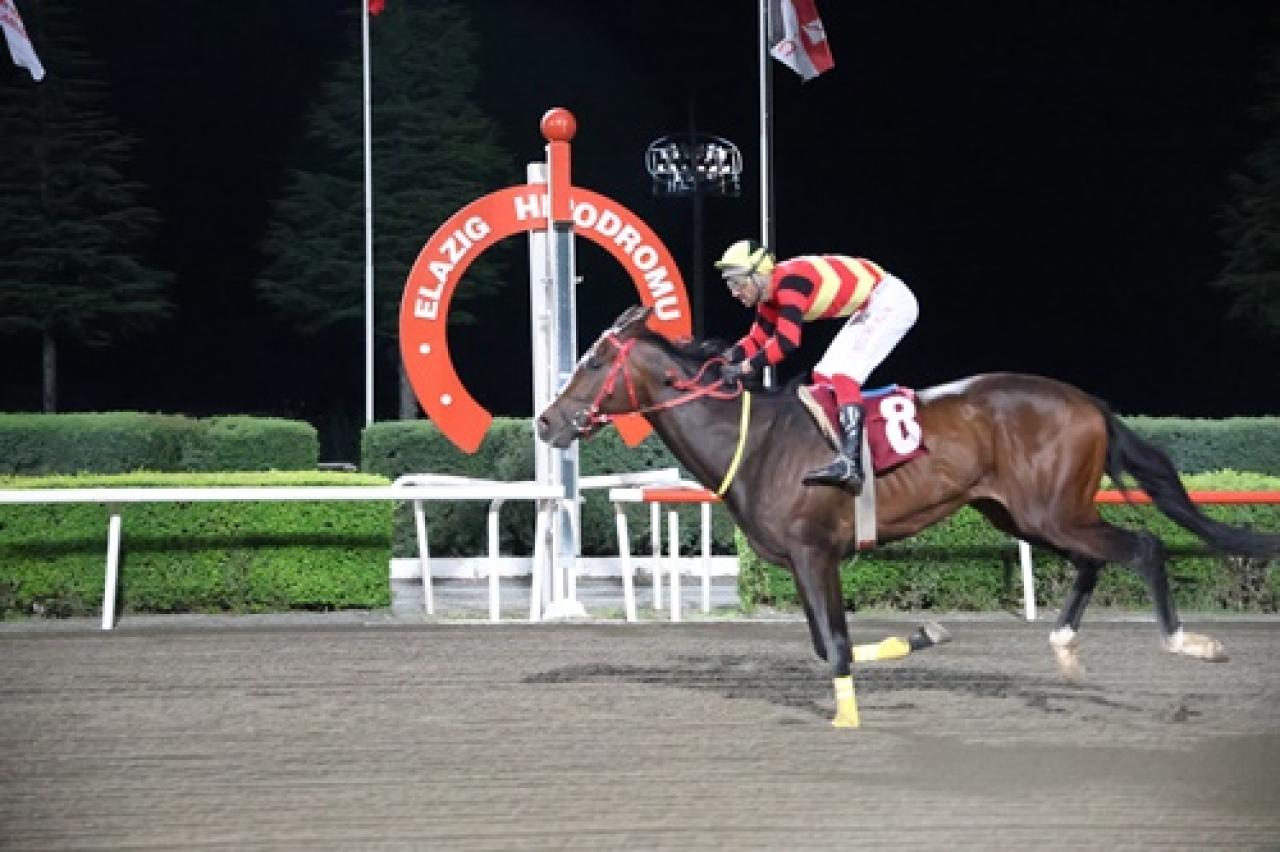 Fırat Üniv. ve Vet. Fakültesi Dekanlığı Koşusu'nu Aziz Geçgelin kazandı