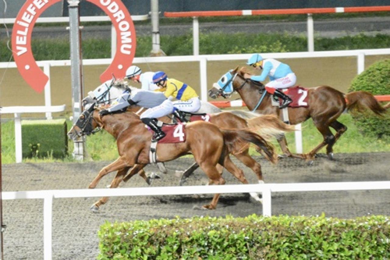 M. Ziya Adalar Koşusu'nu Altıntepe kazandı