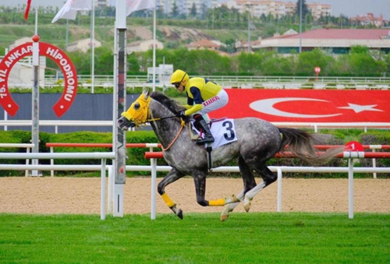 63. TBMM Koşusu’nda zafer Deniz Efe’nin oldu