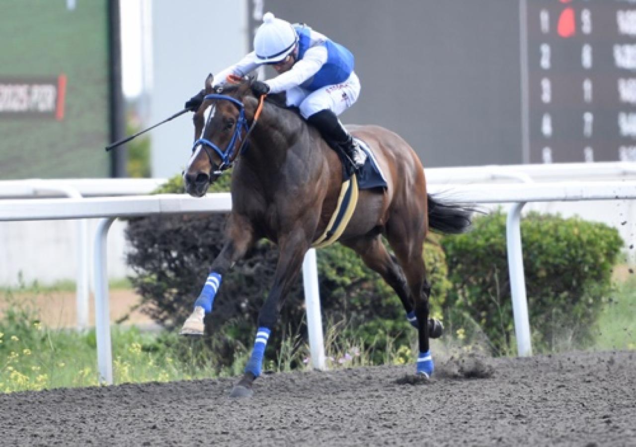 Son Düzlük Koşusu’nu Subutai kazandı