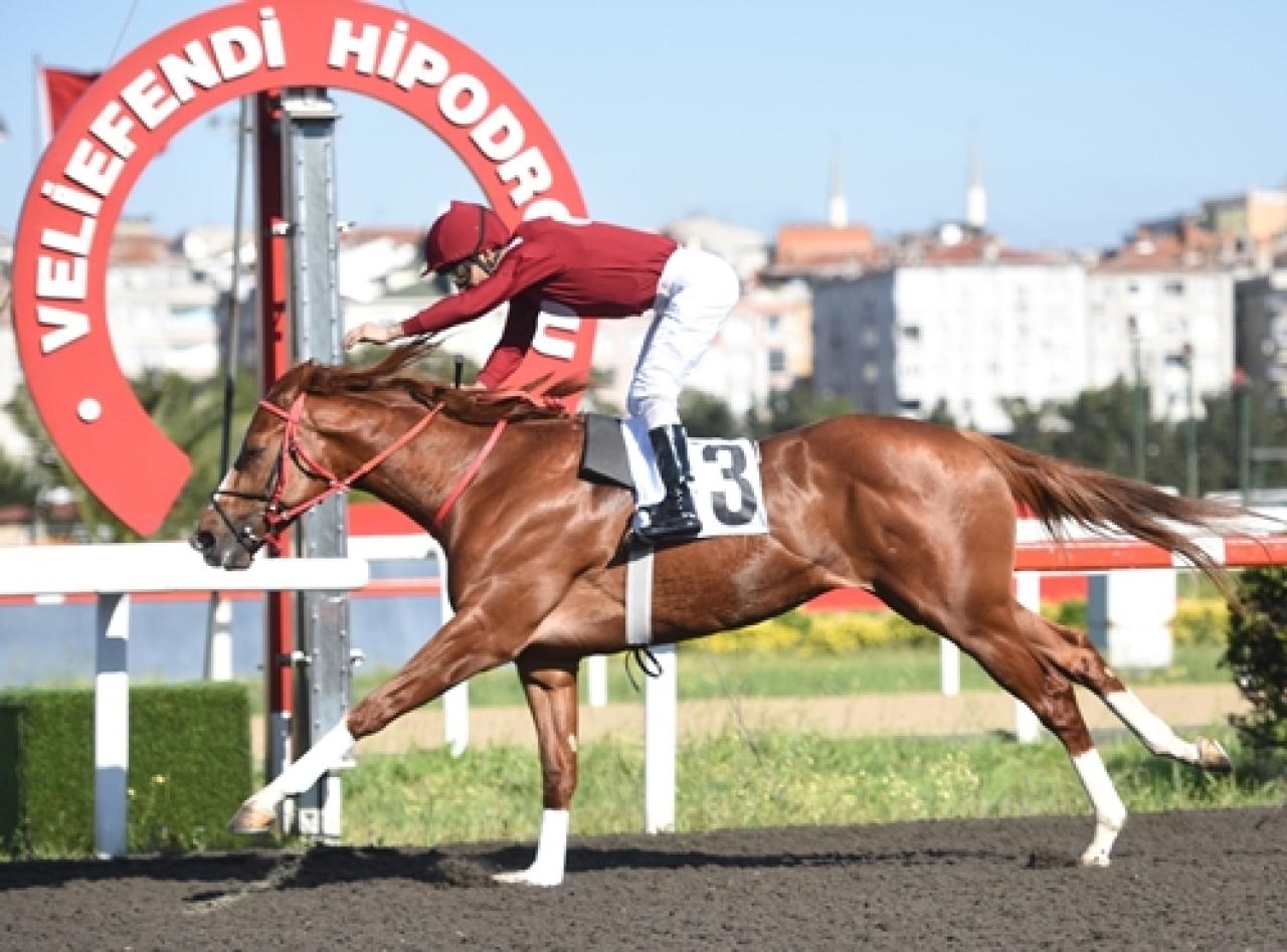 Burhan Karamehmet Koşusu'nda zafere Gök Berk uzandı