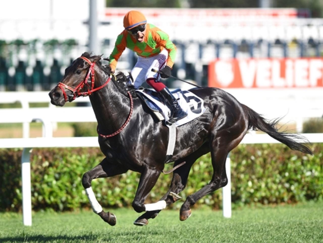 Fikret Yüzatlı Koşusu'nda kazanan Riyakar