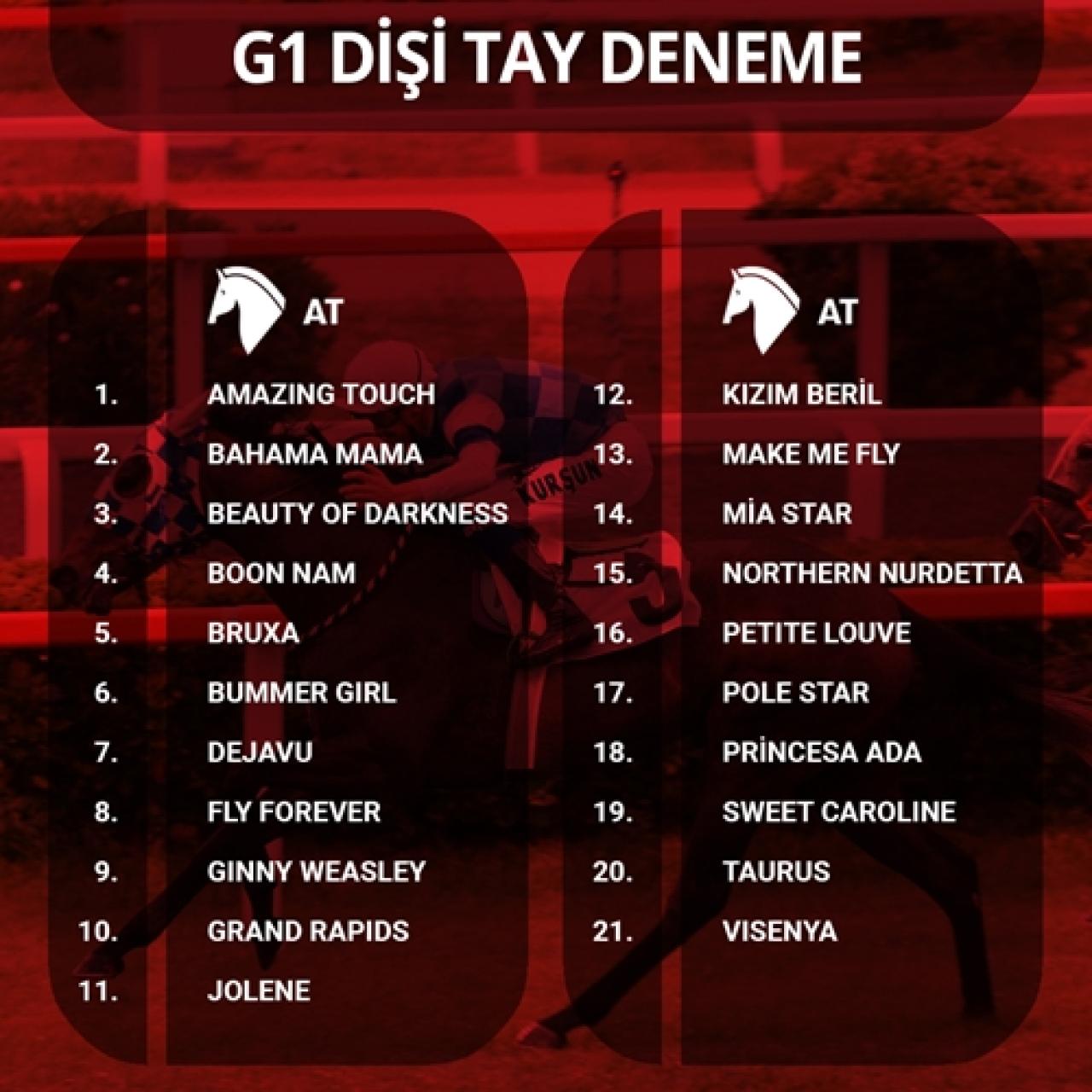 70. Dişi Tay Deneme ve Bi’Talih Erkek Tay Deneme Koşularına kayıtlar tamamlandı