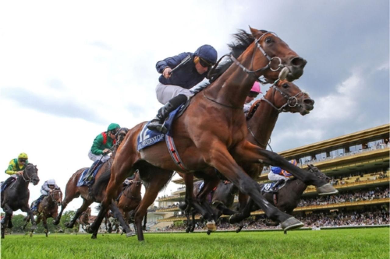 Fransa’da Tay Denemeler gerçekleştirildi