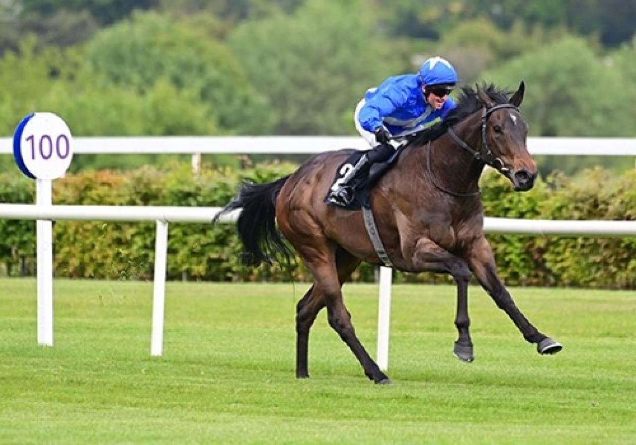 Aygırlarımızın yurt dışındaki temsilcileri başarılarına devam ediyor