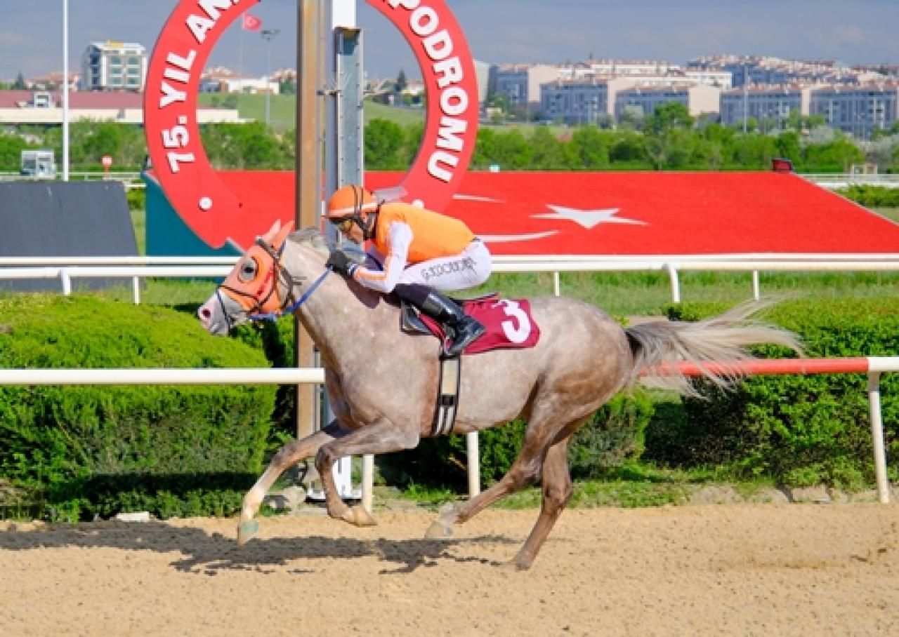 Mehmet Ali Kiper Koşusu’nda kazanan Endorfin oldu