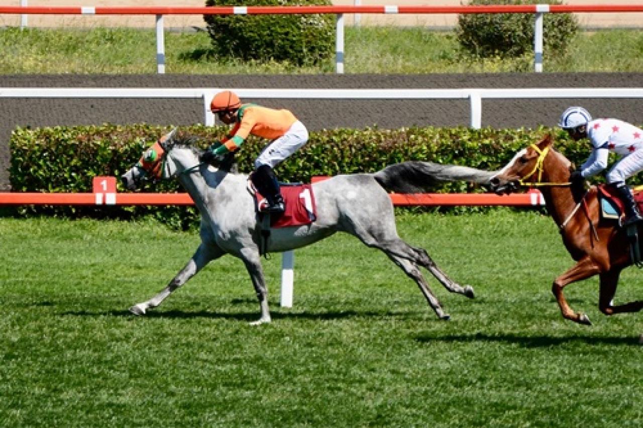 Osman Yağmurdereli Koşusu’nu Lima kazandı