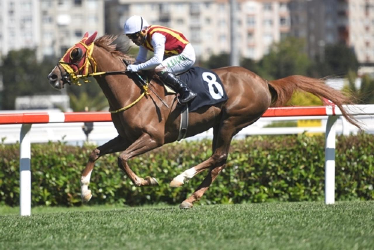 Engelliler Haftası Koşusu’nda galibiyete Bluemoon ulaştı