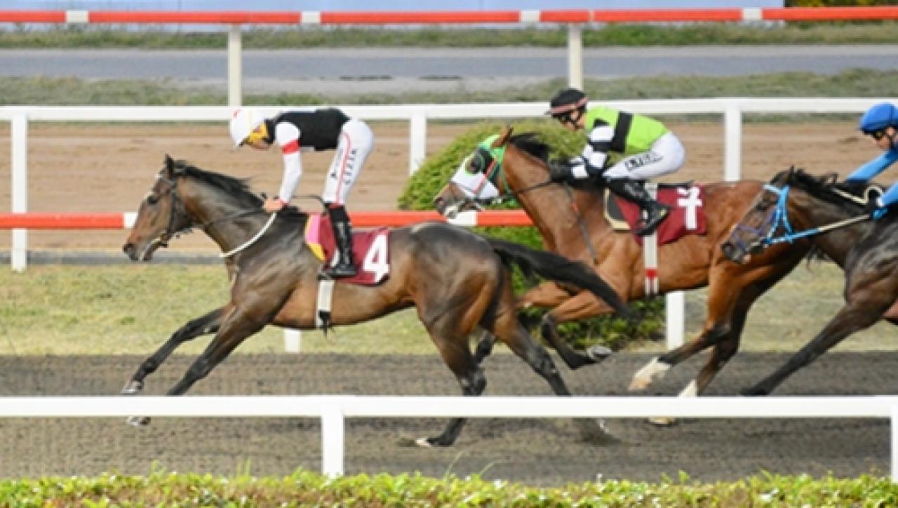 Faruk Tınaz Koşusu’nda galibiyete Hope Breeze ulaştı