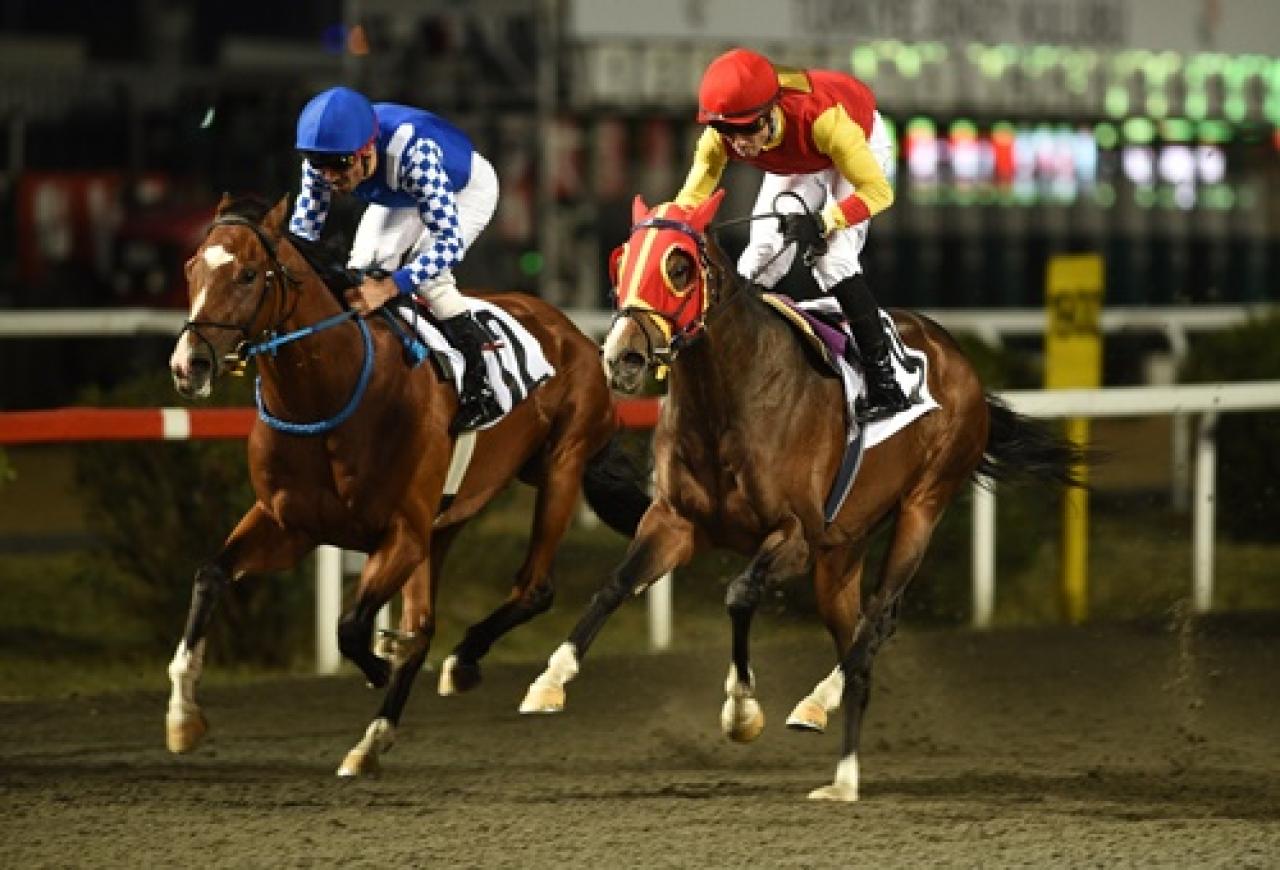 19 Mayıs Koşusu’nda zafere uzanan Borrego oldu