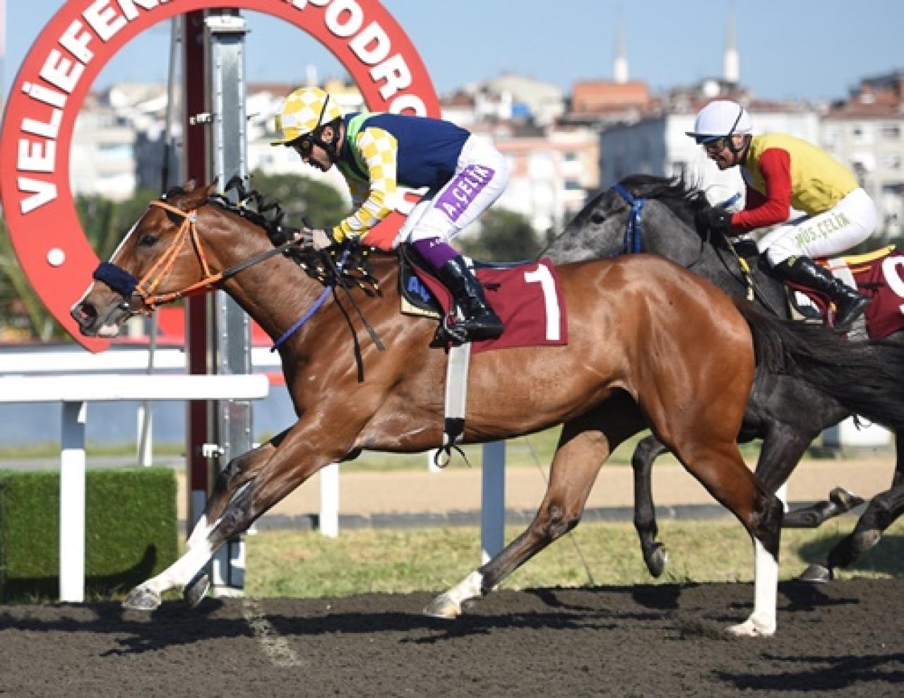 Hasan Adalı Koşusu'nda galibiyete ulaşan Madam Oracle oldu