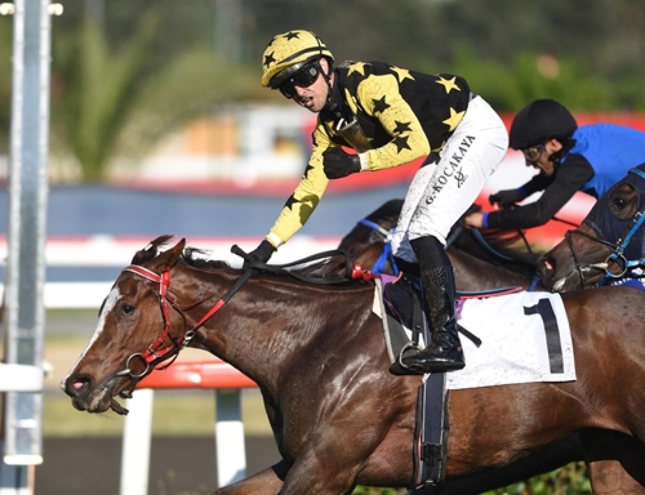 Dişi Tay Deneme Koşusu’nda galibiyete Amazing Touch ulaştı