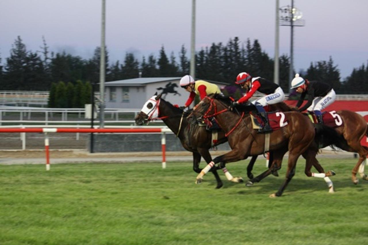 Adana Jandarma Koşusu’nu El Verdugo kazandı