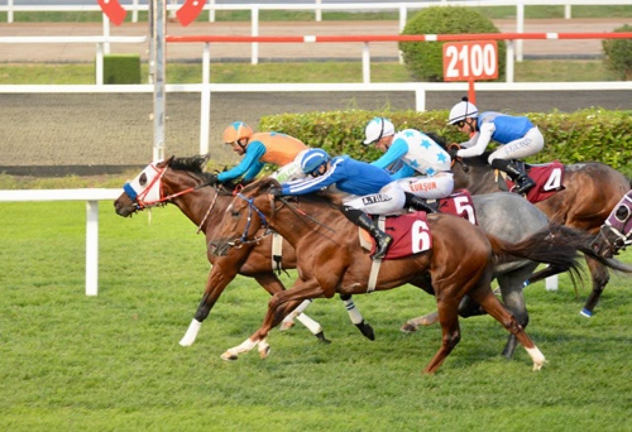 Osman Çıkıllı Koşusu’nu Maximus Power kazandı