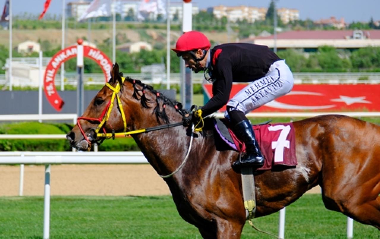 TEMA Vakfı Toprak Yaşamdır Koşusu'nu Jan Aqua kazandı