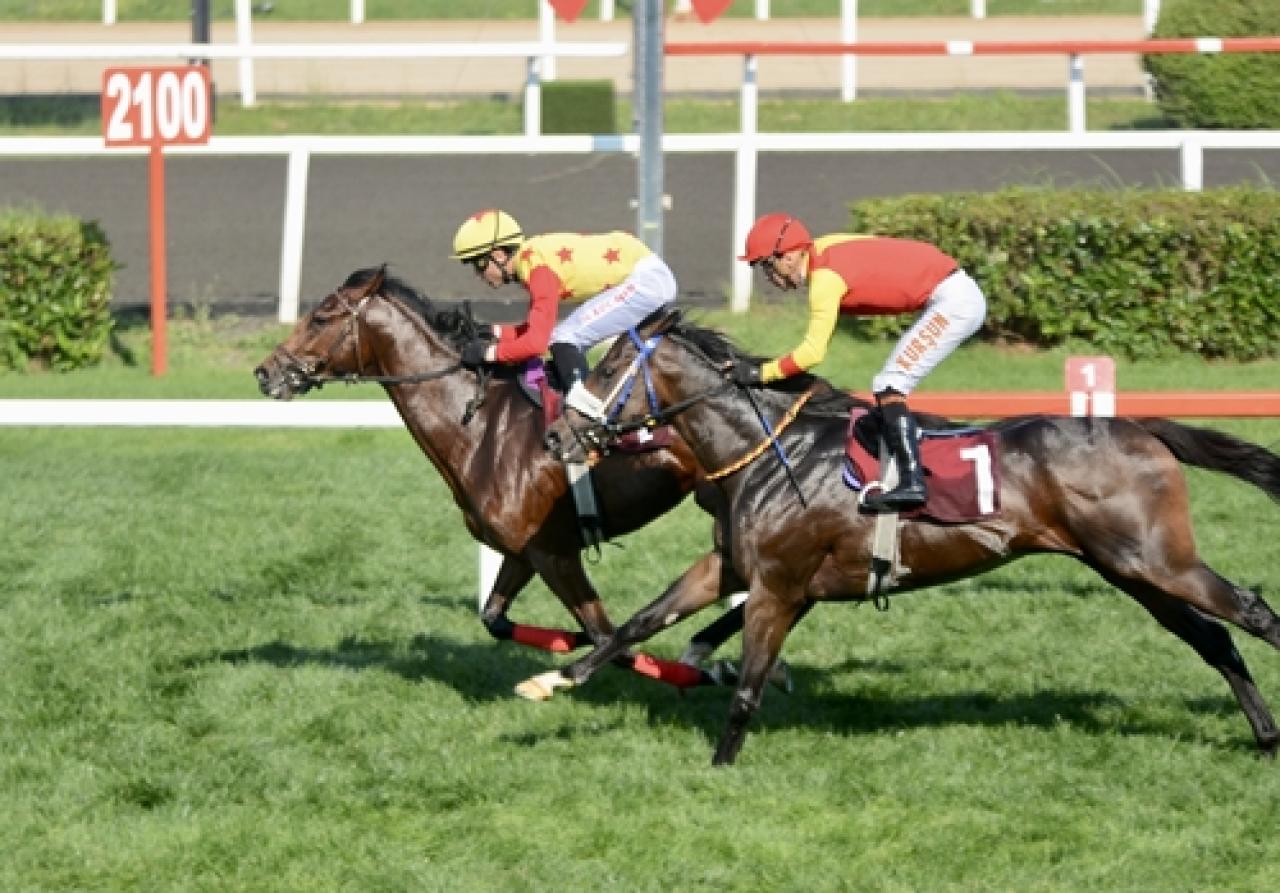 At Yarışı Yazarları Derneği Koşusu’nu Alp The Hero kazandı