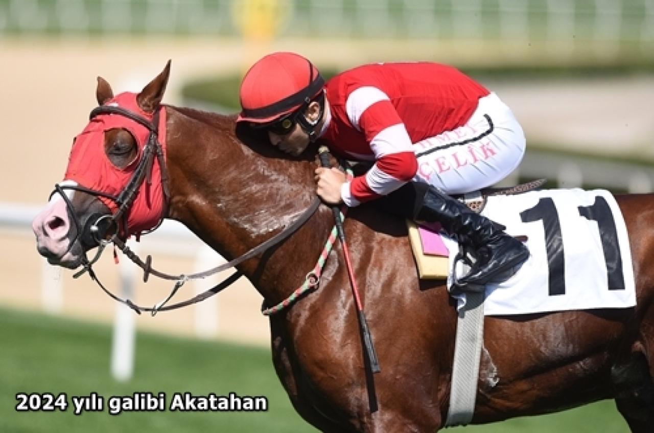 77. Tarım ve Orman Bakanlığı Koşusu Cumartesi günü Ankara'da düzenlenecek