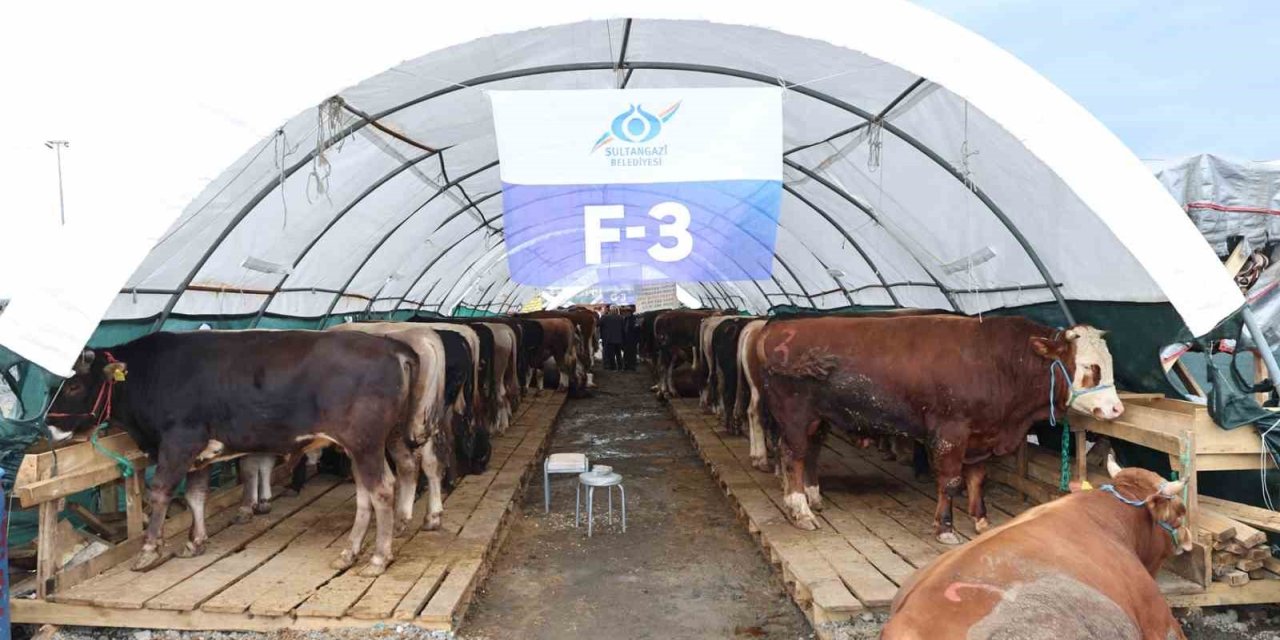 SULTANGAZİ BELEDİYESİ KURBAN ALANINDA BAYRAM HAREKETLİLİĞİ