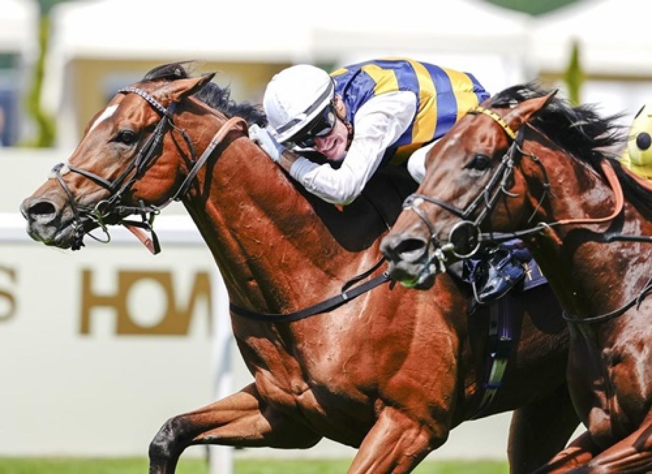 Royal Ascot yarış festivali başladı