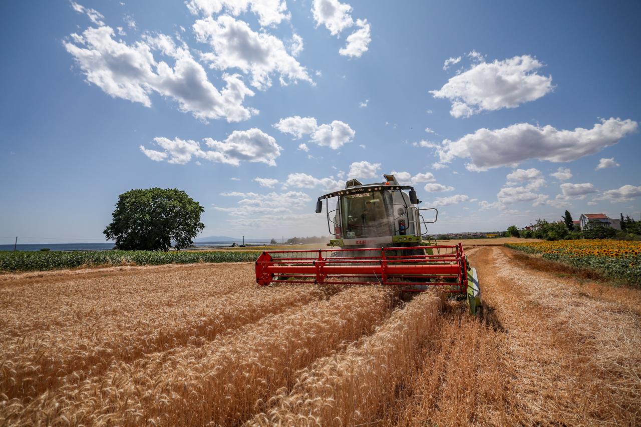 CHP Lideri Özgür Özel, Tekirdağ’da Buğday Hasadı Yaptı