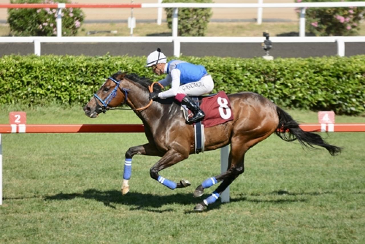 Eliyeşil Koşusu’nda kazanan Subutai oldu