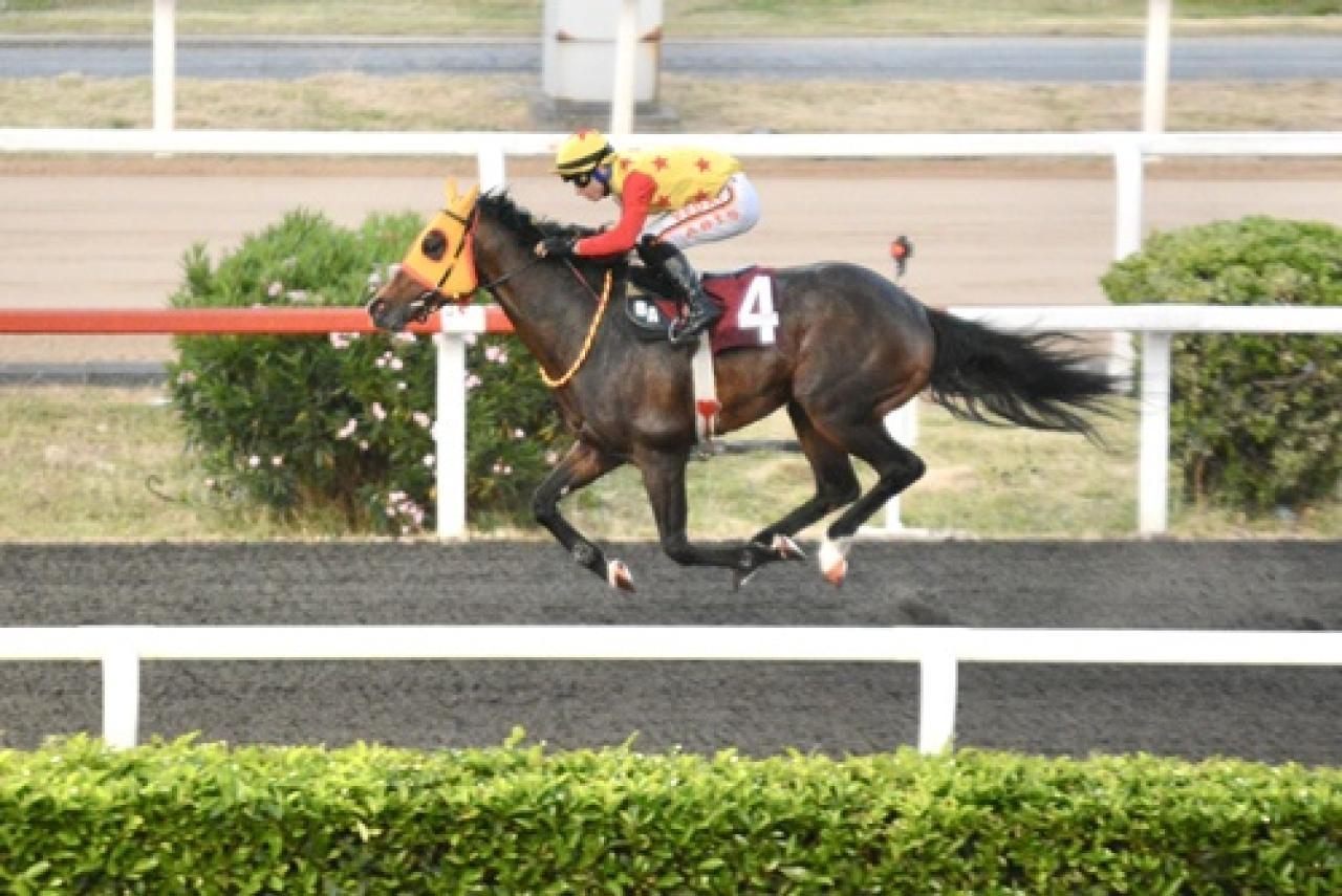 A. Yücel Birol Koşusu'nu Perfect Player kazandı