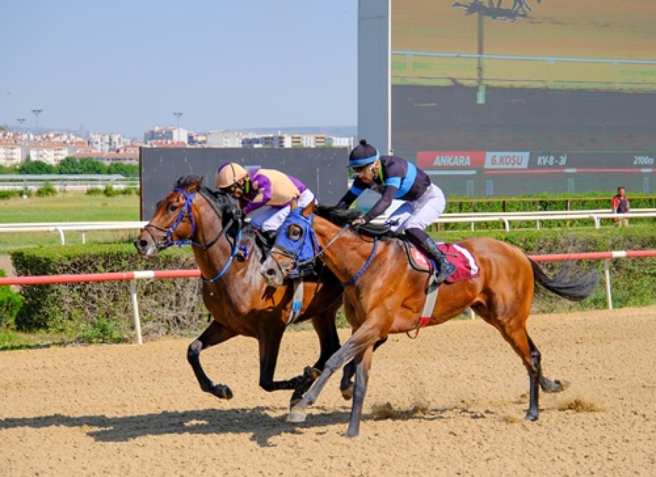 Ali Orhan Birol Koşusu'nda kazanan Early Burning