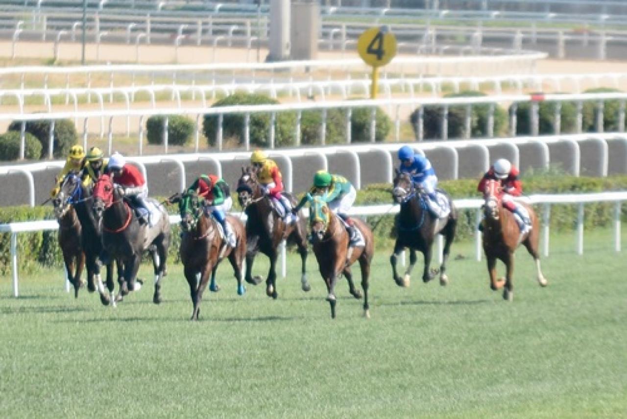 Orhan Doğa Özsoy Koşusu’nda galibiyete Nart Ateşi uzandı