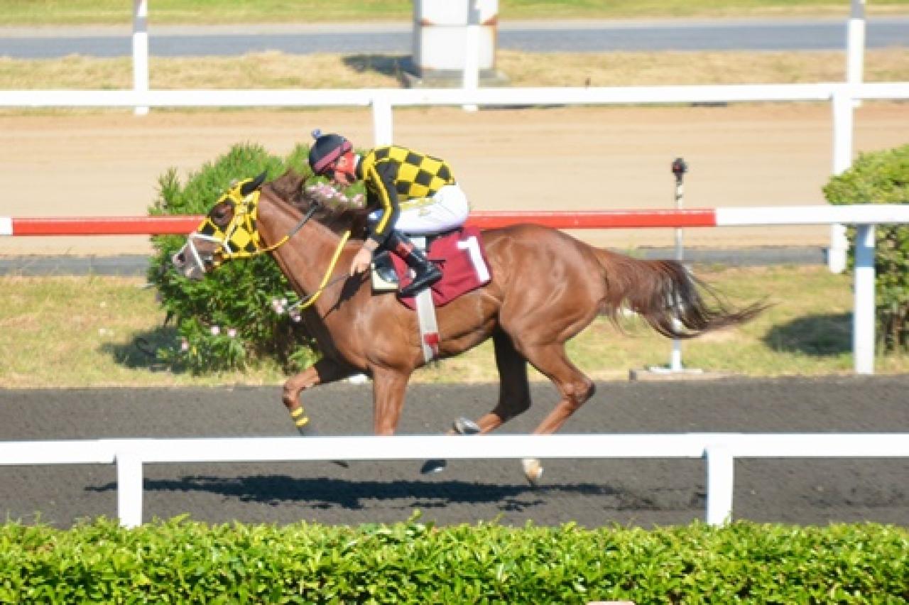 Begüm Atman Karataş Koşusu’nda kazanan Cape Cod oldu