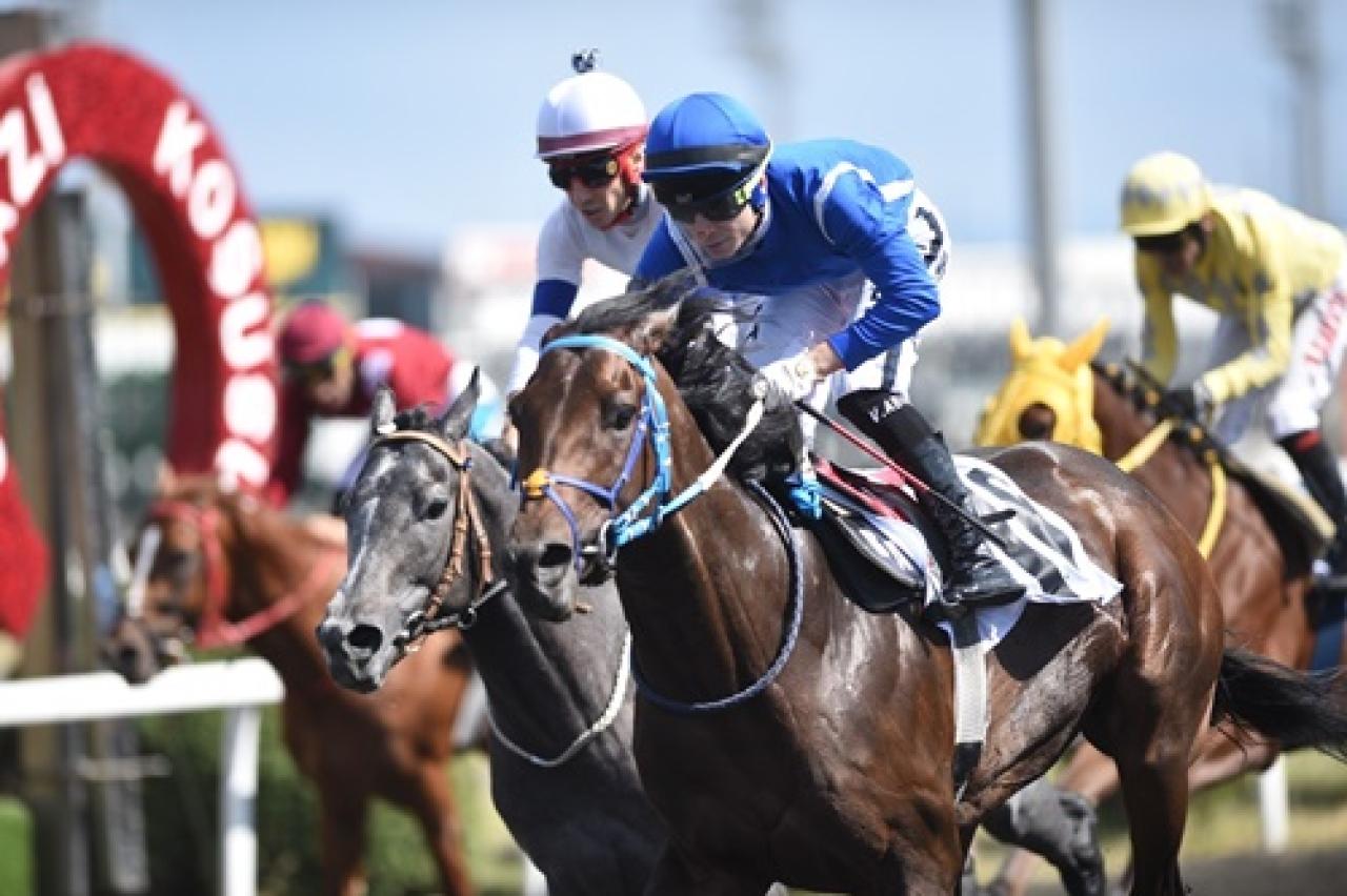 Bi'Talih Anafartalar Koşusu’nda galibiyete Treasure Island uzandı