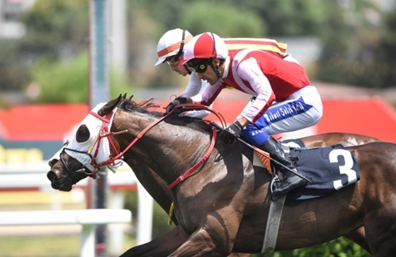 Korea Racing Authority Koşusu’nda Prenses Yaz ve Has Serçe birinciliği paylaştı