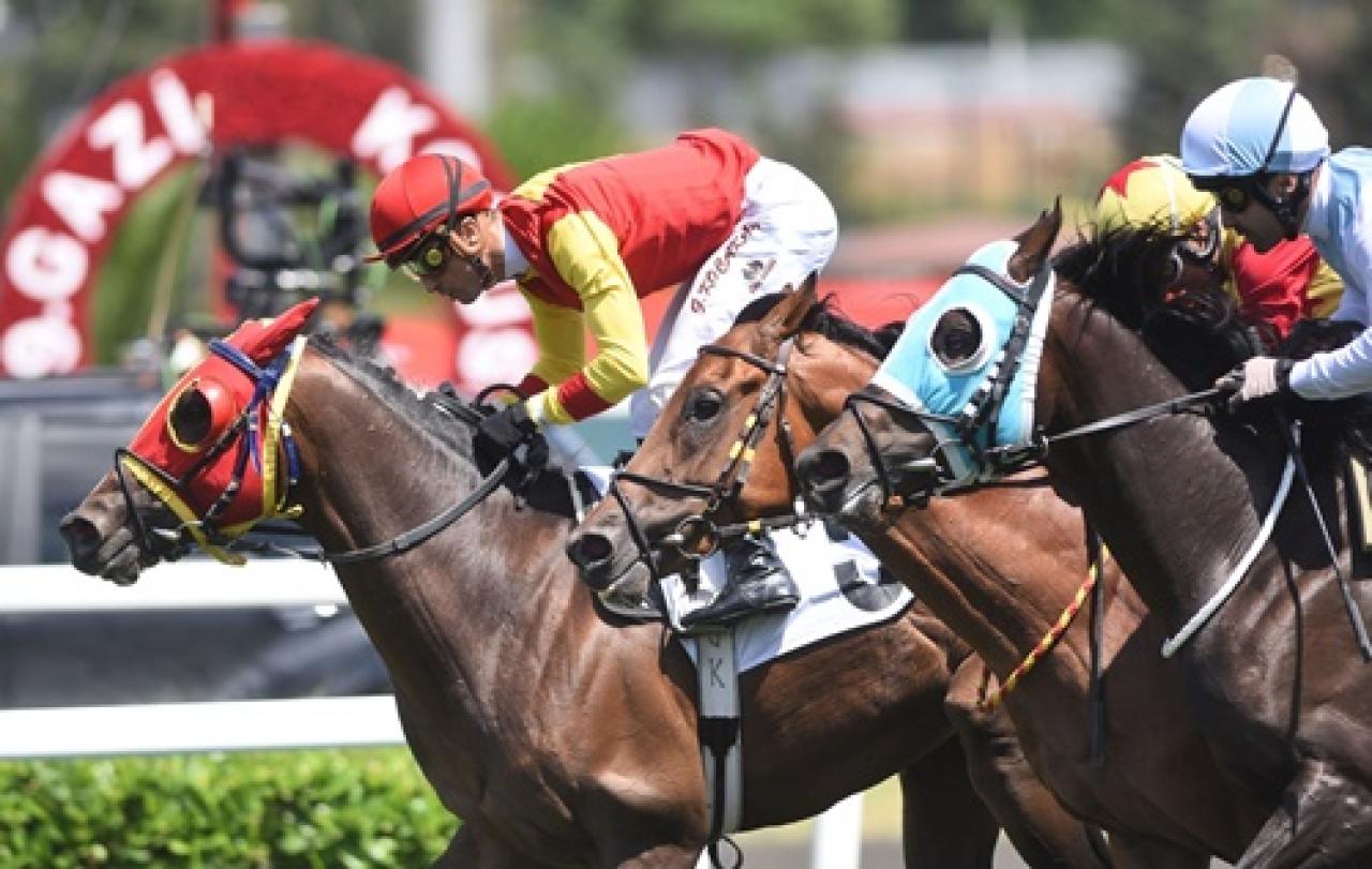 Son Düzlük Kocatepe Koşusu’nda galibiyete ulaşan Borrego oldu