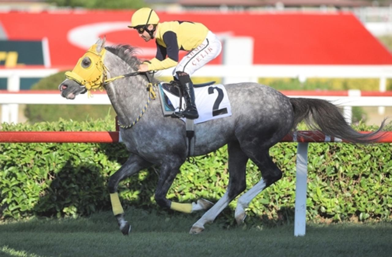 Ali Rıza Bey Koşusu'nu üst üste ikinci kez Deniz Efe kazandı