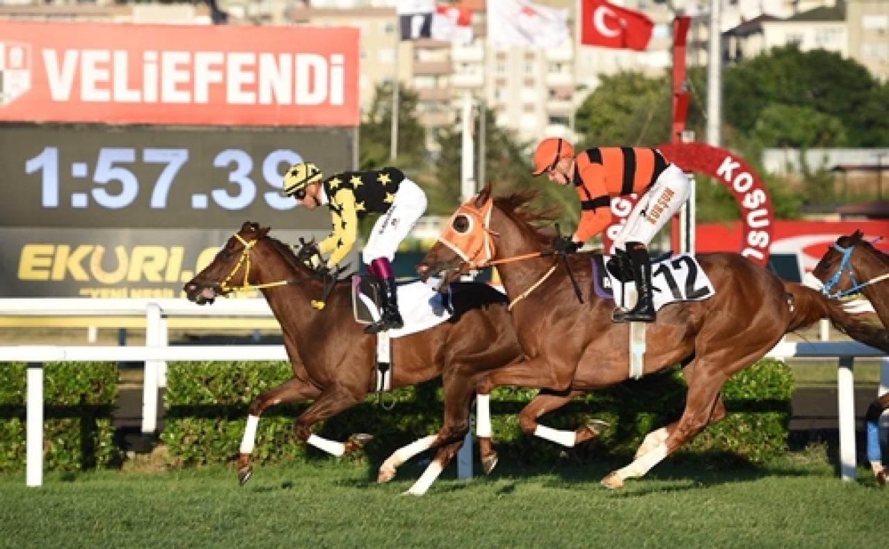 Eküri.com Nene Hatun Koşusu’nda kazanan Amazing Touch