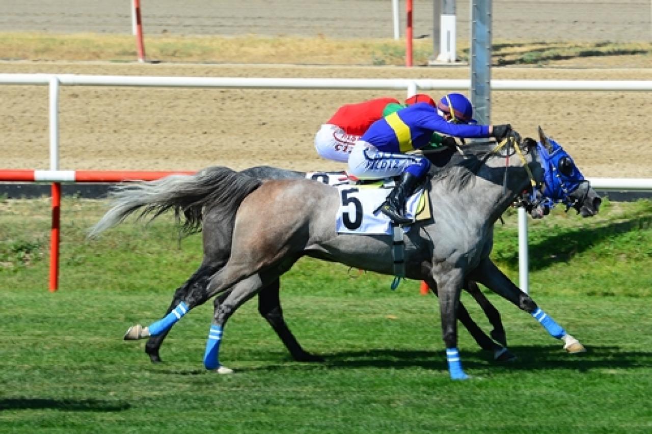 Süleyman Çelebi Koşusu'nu Bahçederebeyi Kazandı