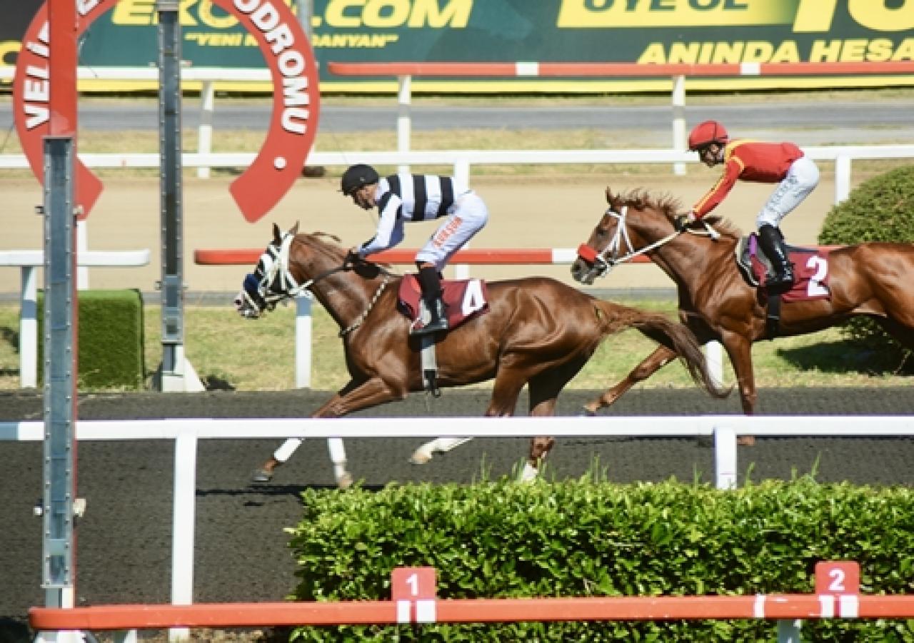 Çorlu Belediye Başkanlığı Koşusu'nu kazanan Kapriz oldu